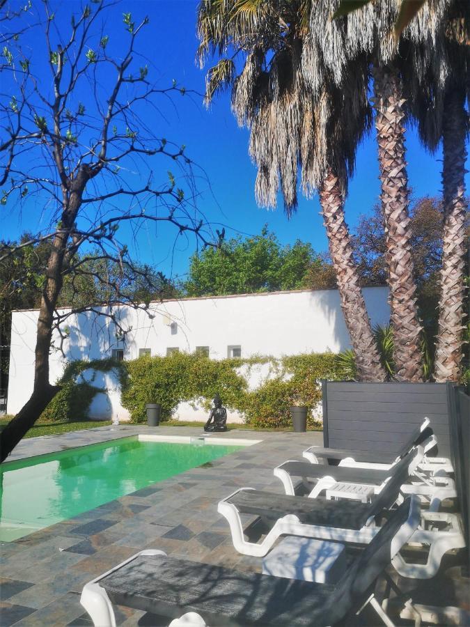 Le Mas Du Bijou Bleu Puget-sur Argens Εξωτερικό φωτογραφία