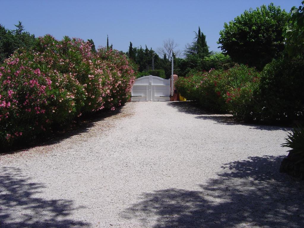 Le Mas Du Bijou Bleu Puget-sur Argens Δωμάτιο φωτογραφία